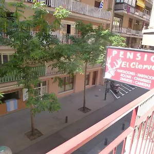 El Ciervo Affittacamere Lloret de Mar